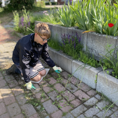 Bild vergr&ouml;&szlig;ern: Bei den Garten-Landschaftsbauern gibt es immer reichlich Arbeit - auch das Unkrautj�ten geh�rt dazu